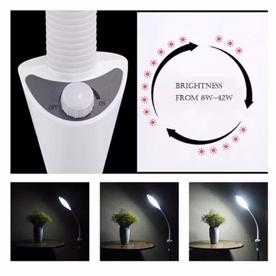 Venda quente LED lupa salão de beleza lâmpada de ampliação
